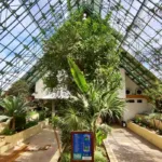 Museo Verde de León cumple 10 años… pero muchos aún creen que está cerrado