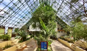 Museo Verde de León cumple 10 años… pero muchos aún creen que está cerrado