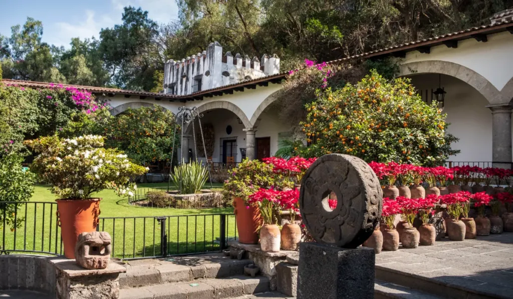 El Museo Dolores Olmedo reabre sus puertas: arte, historia y Frida Kahlo de regreso en CDMX