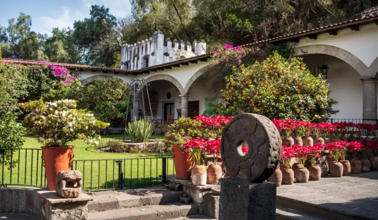 El Museo Dolores Olmedo reabre sus puertas: arte, historia y Frida Kahlo de regreso en CDMX