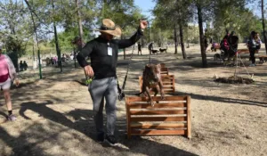 León estrena zona Pet Friendly: un espacio donde tu mascota puede correr libre