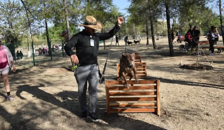León estrena zona Pet Friendly: un espacio donde tu mascota puede correr libre