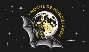 Noche de Murciélagos en Chapultepec: una experiencia para descubrir a los guardianes de la noche