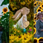 Pascua entre girasoles: el plan familiar que todos quieren cerca de Guadalajara