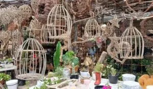 La Sauceda convierte el bejuco en arte sustentable y orgullo artesanal de Guanajuato