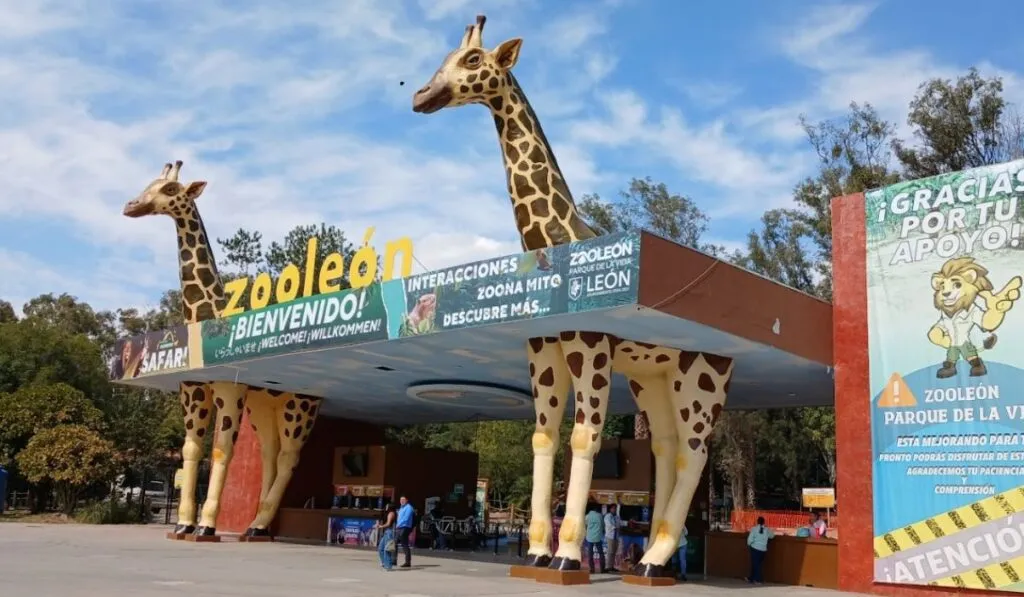 Zoológico de León vuelve a abrir: así se preparó tras la clausura de PROFEPA