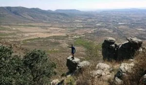 Sierra de Lobos llama a la acción: organizan reforestación masiva para recuperar pulmón natural de Guanajuato