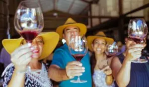 Guanajuato alista sus Fiestas de la Vendimia 2026 con vino, tradición y más de 200 etiquetas