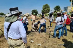 Buscadoras en Guanajuato enfrentan patrón de violencia tras cuatro asesinatos recientes, advierte Causa en Común.