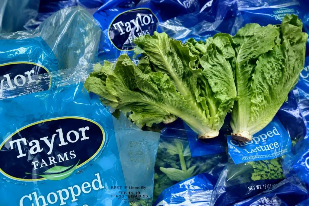 Taylor Farms Guanajuato suspendió operaciones de forma voluntaria mientras autoridades descartaron contaminación en sus lechugas.