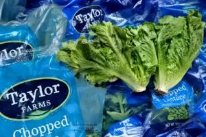 Taylor Farms Guanajuato suspendió operaciones de forma voluntaria mientras autoridades descartaron contaminación en sus lechugas.