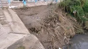 Vecinos realizan limpieza en la Presa de Rocha para retirar residuos y fortalecer el cuidado ambiental en Guanajuato.