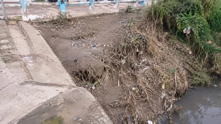 Vecinos realizan limpieza en la Presa de Rocha para retirar residuos y fortalecer el cuidado ambiental en Guanajuato.