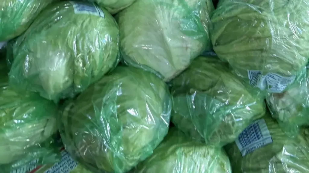 FDA investiga Taylor Farms Guanajuato y el agua agrícola tras un brote de ciclosporiasis relacionado con lechuga iceberg mexicana.