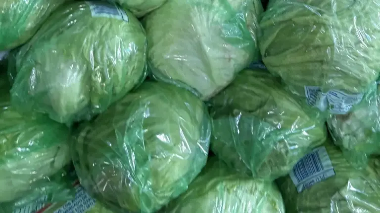 FDA investiga Taylor Farms Guanajuato y el agua agrícola tras un brote de ciclosporiasis relacionado con lechuga iceberg mexicana.