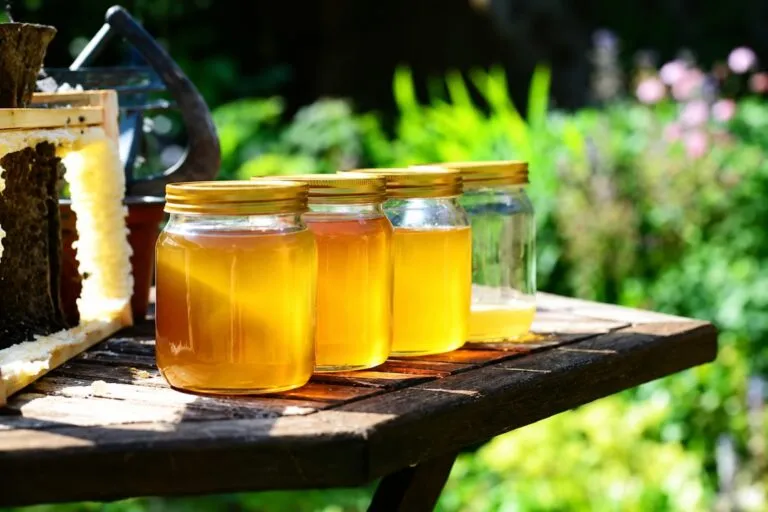 Miel adulterada en Guanajuato y productores apícolas ante posibles nuevas sanciones