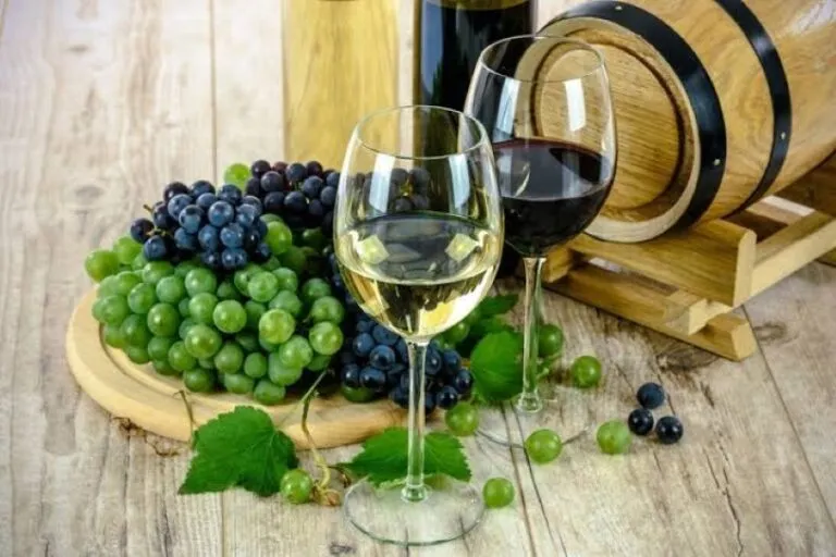 Industria del vino en Guanajuato crece con nuevos proyectos, viñedos, exportaciones y experiencias de enoturismo.