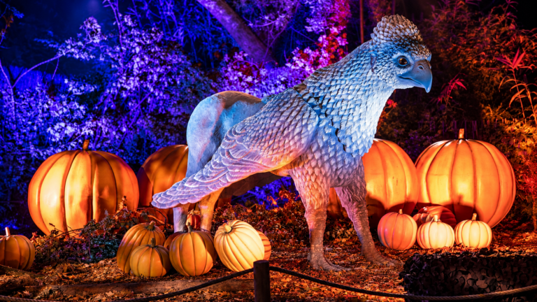 Figura de un hipogrifo de Harry Potter rodeada de calabazas y vegetación iluminada con luces moradas y azules durante la noche.